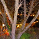 Party Fotos (69/155)